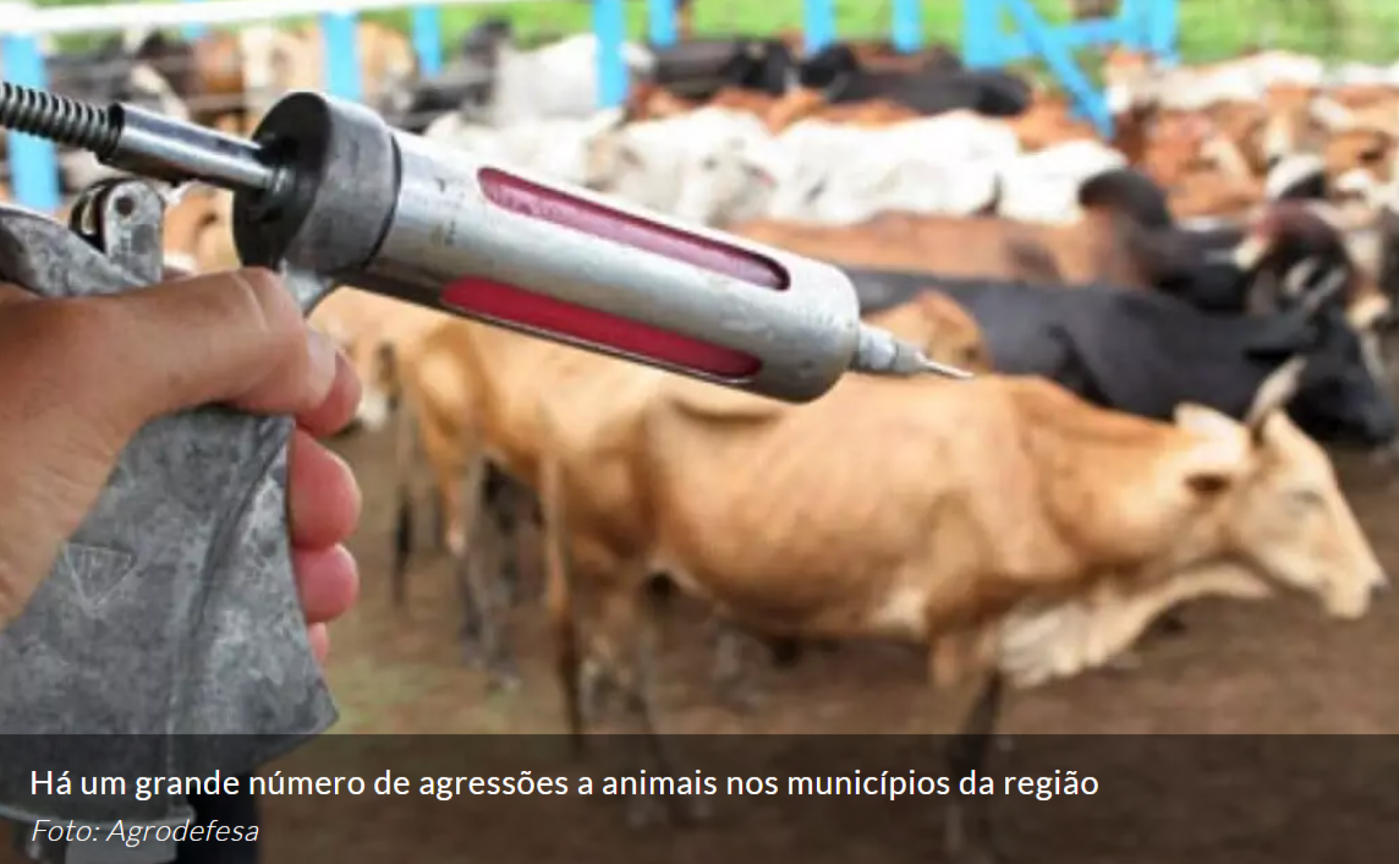 Governo gaúcho emite alerta sanitário para raiva dos herbívoros na zona Sul do Estado