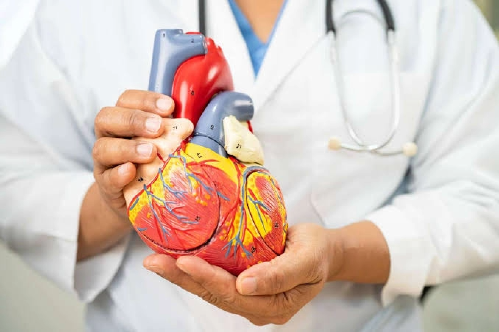 Dia do Cardiologista destaca profissionais essenciais na luta contra as doenças do coração