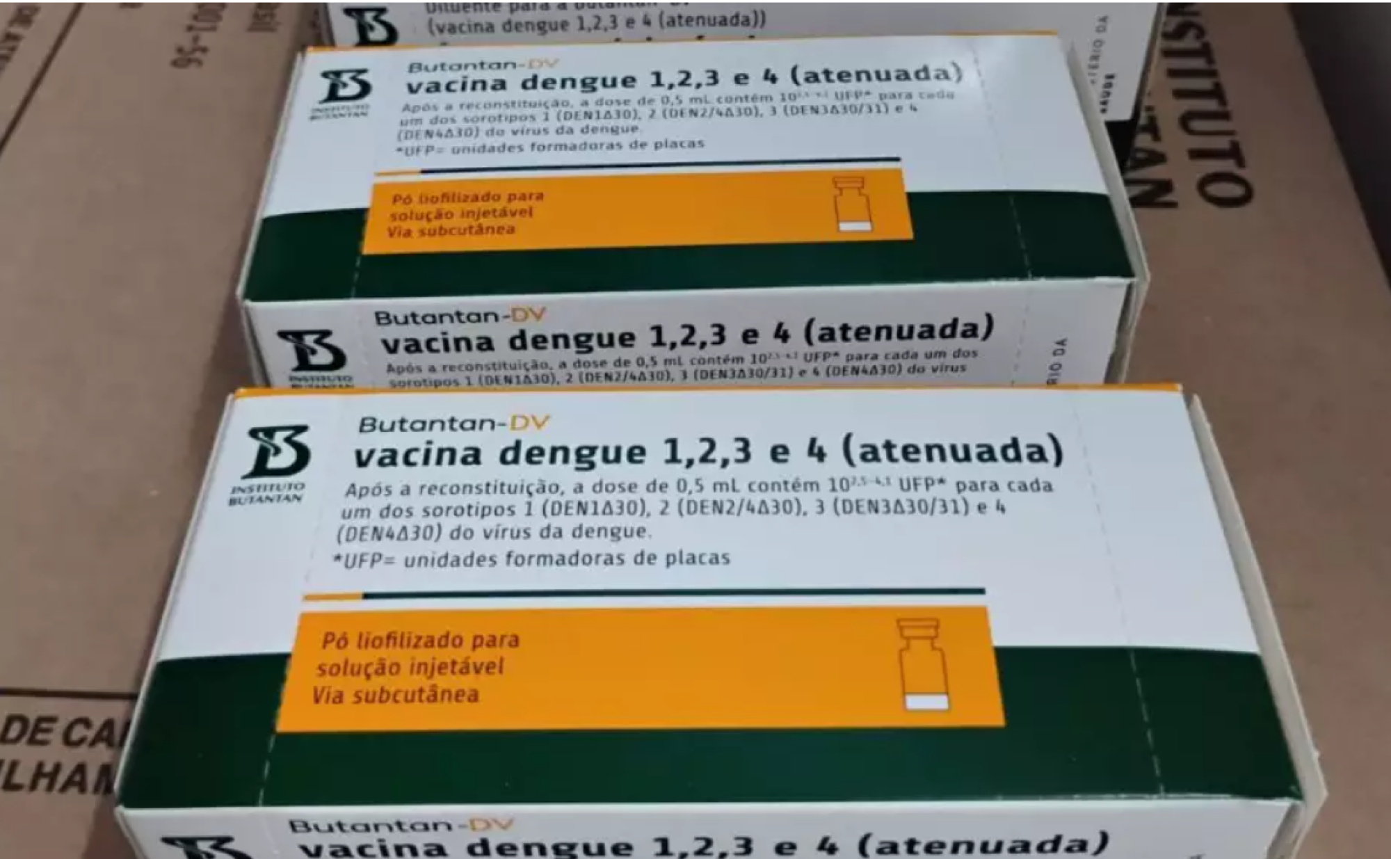 Iniciada a distribuição de vacina contra dengue para profissionais da saúde no Rio Grande do Sul
