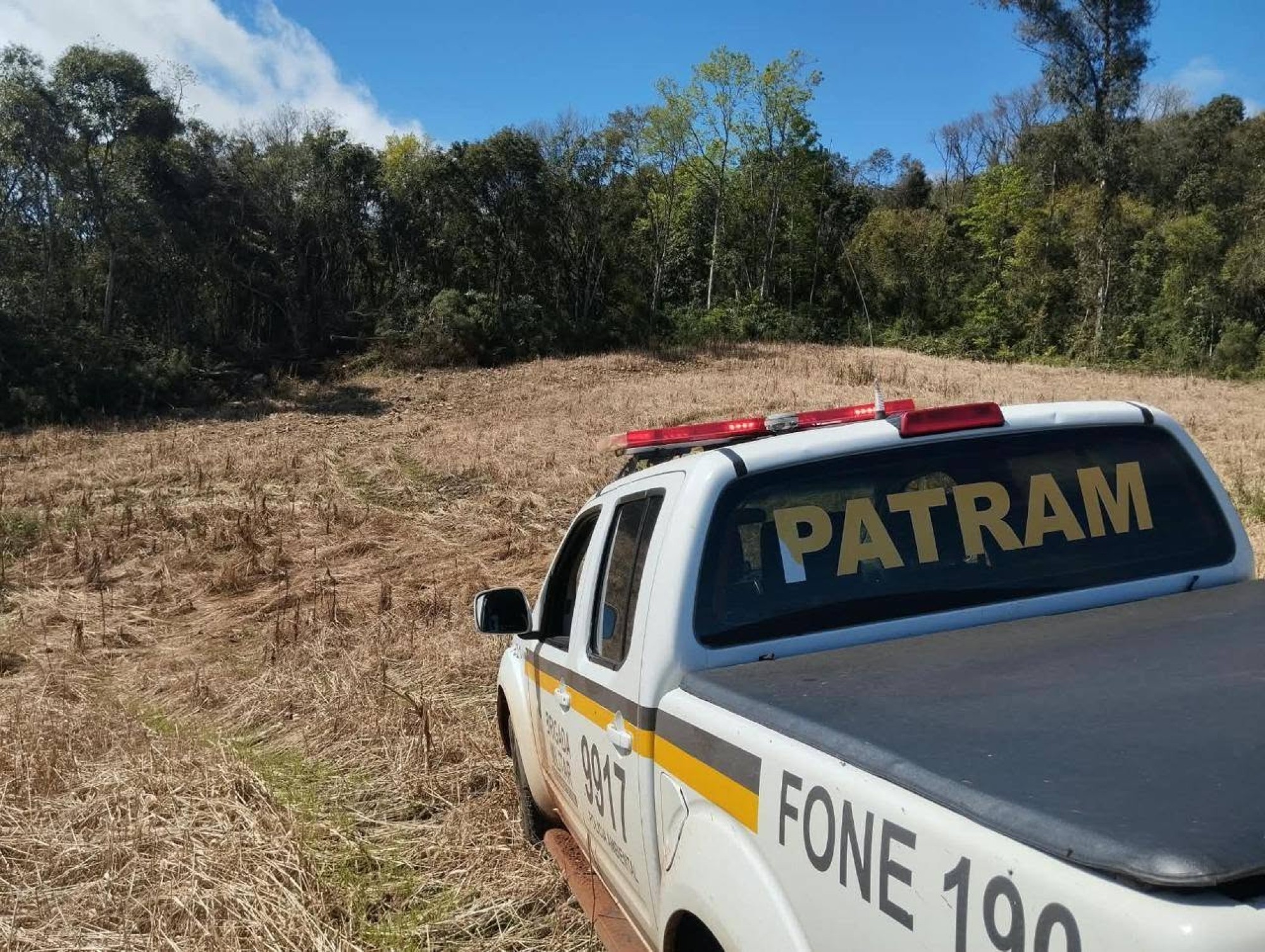 Polícia Ambiental flagra desmatamento irregular de 11,4 mil metros quadrados em Putinga