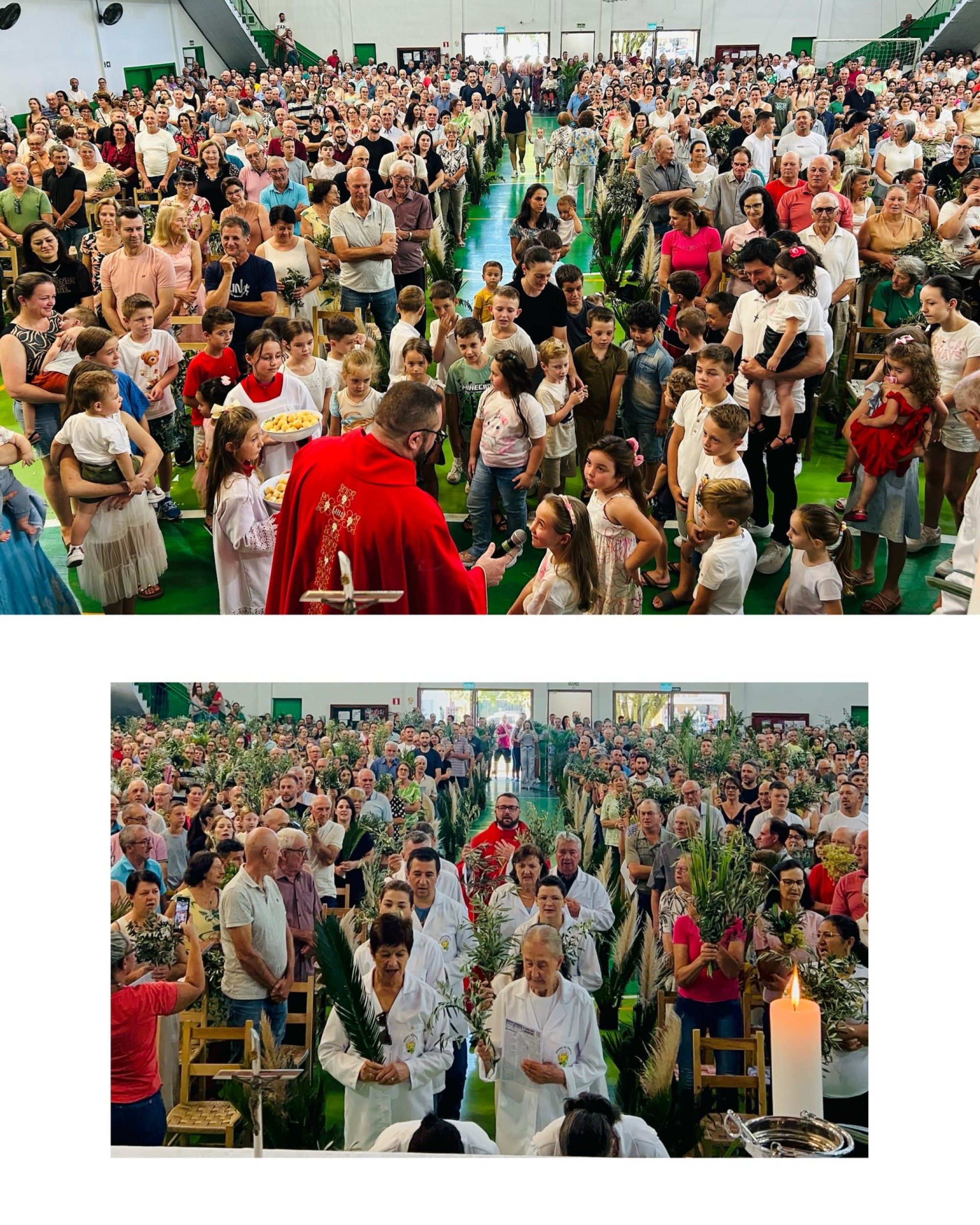 Momentos de fé e devoção marcaram o Domingo de Ramos em Arvorezinha