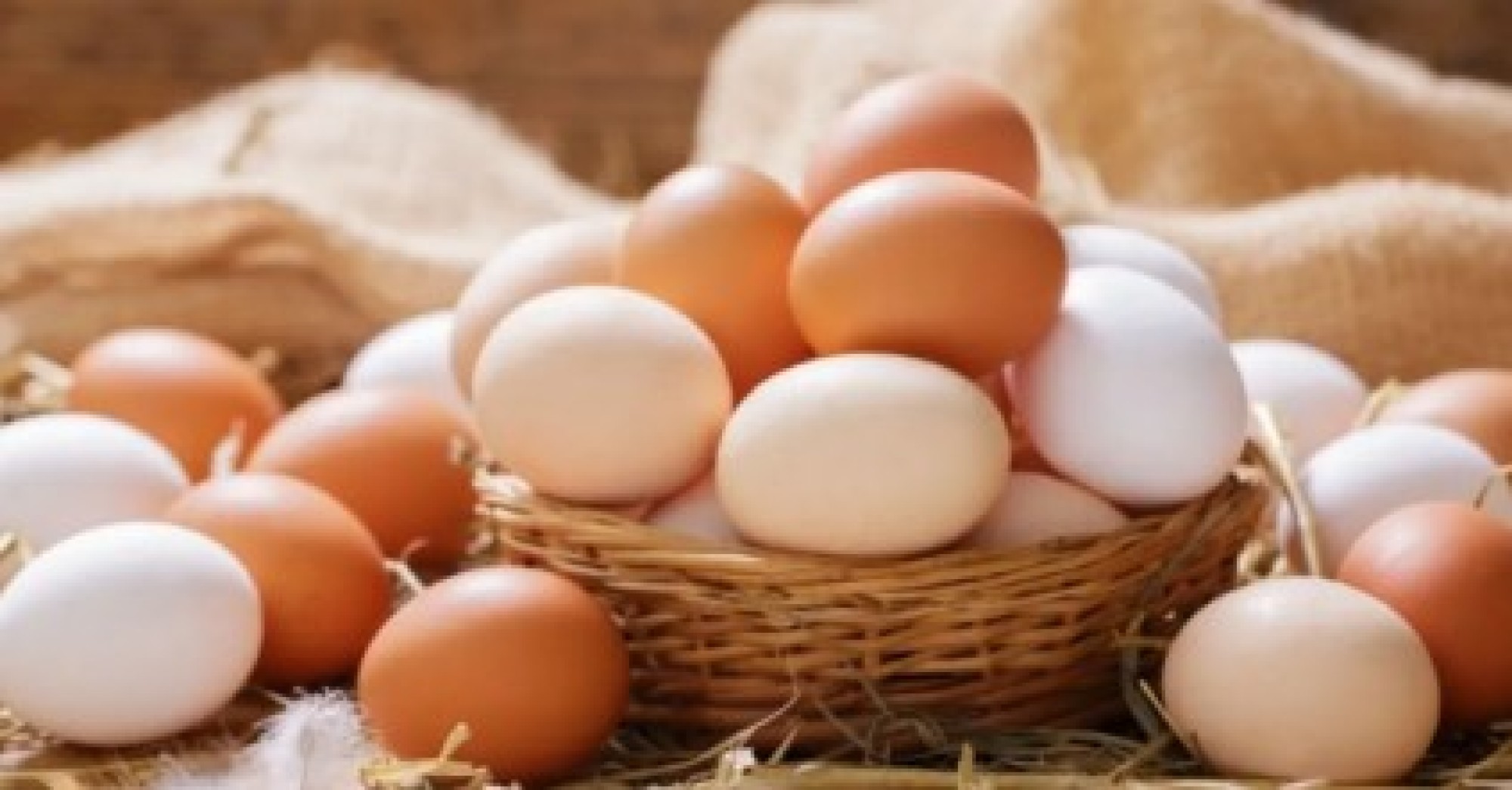 O mercado de ovos apresenta sinais de recuperação